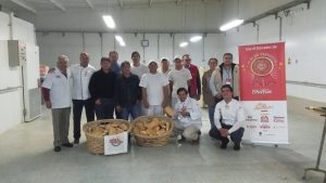 espiga de oro 2
